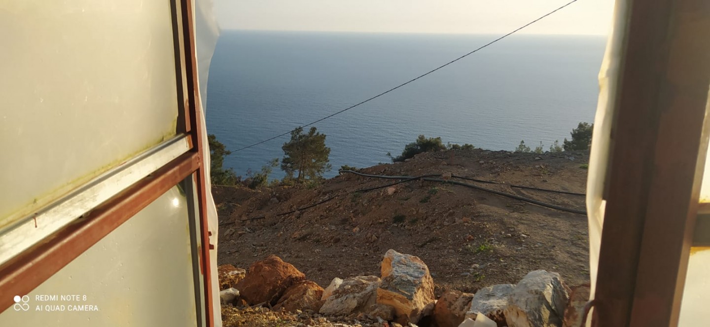 Banana Land  - Alanya